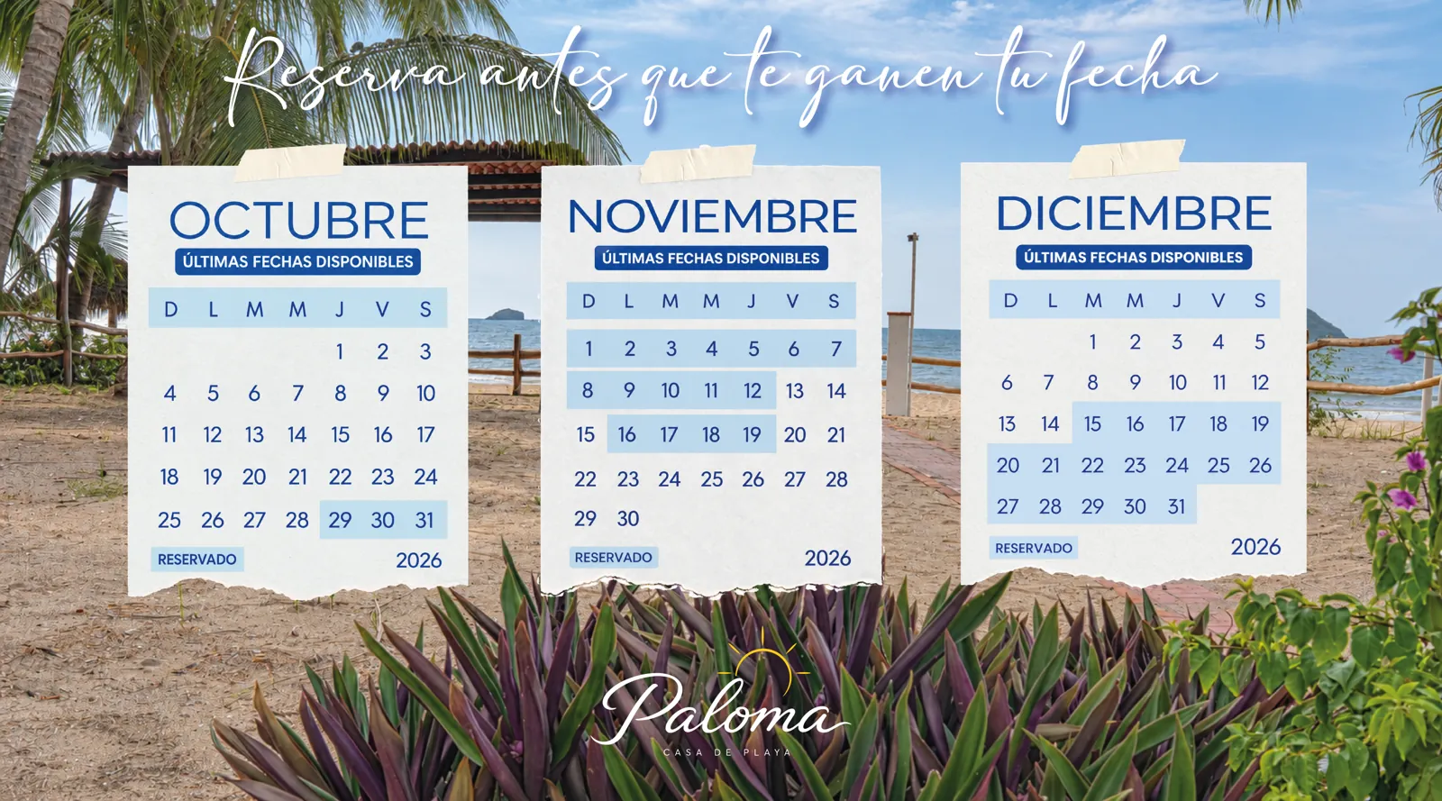 Calendario de fechas disponibles de Paloma Casa de Playa.