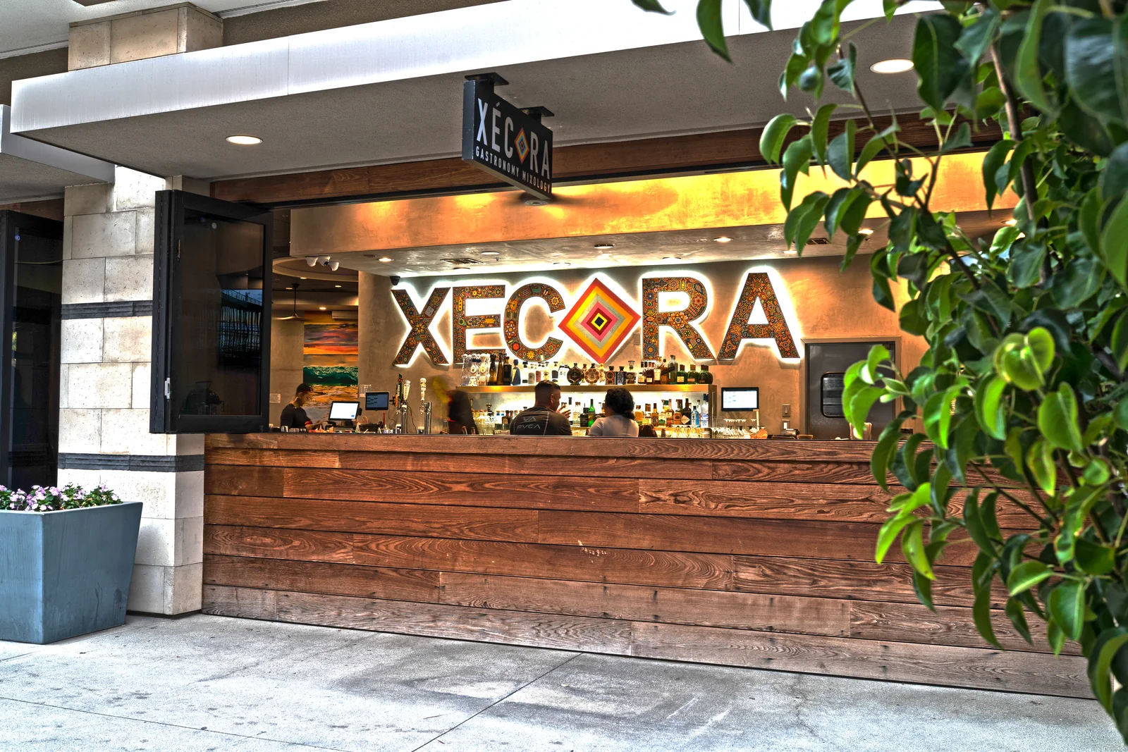 Xécora · Experiencia de marca